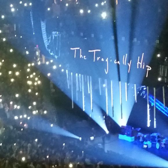 Meet your Posher, Mike - Picture 1 of 1